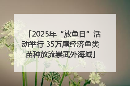 2025年“放鱼日”活动举行 35万尾经济鱼类苗种放流崇武外海域