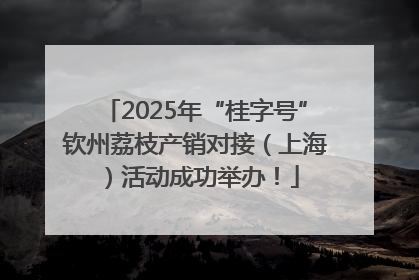 2025年“桂字号”钦州荔枝产销对接（上海）活动成功举办！
