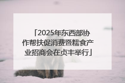2025年东西部协作帮扶促消费暨糯食产业招商会在贞丰举行