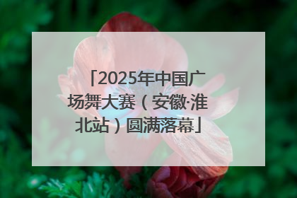 2025年中国广场舞大赛（安徽·淮北站）圆满落幕