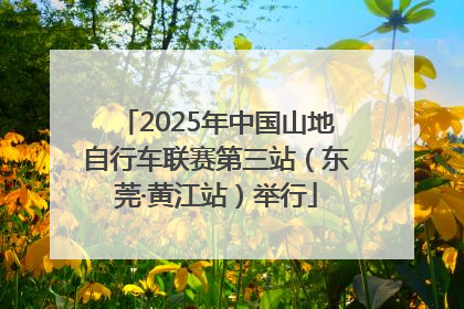 2025年中国山地自行车联赛第三站（东莞·黄江站）举行