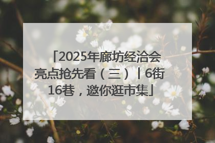 2025年廊坊经洽会亮点抢先看（三）丨6街16巷，邀你逛市集