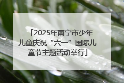 2025年南宁市少年儿童庆祝“六一”国际儿童节主题活动举行