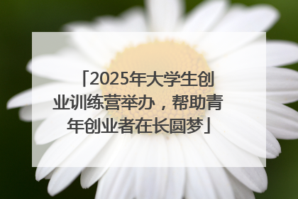 2025年大学生创业训练营举办，帮助青年创业者在长圆梦