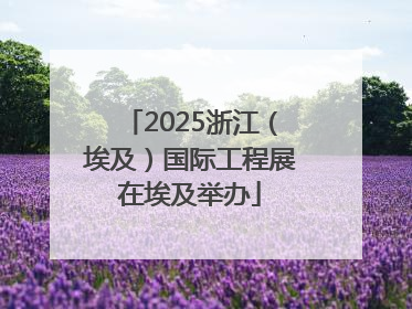2025浙江（埃及）国际工程展在埃及举办