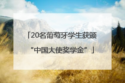20名葡萄牙学生获颁“中国大使奖学金”