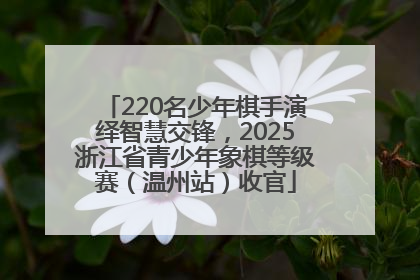 220名少年棋手演绎智慧交锋，2025浙江省青少年象棋等级赛（温州站）收官