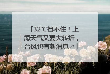 32℃挡不住！上海天气又要大转折，台风也有新消息↗