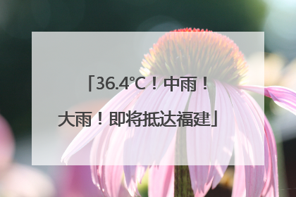 36.4℃！中雨！大雨！即将抵达福建
