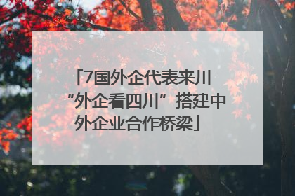 7国外企代表来川 “外企看四川”搭建中外企业合作桥梁