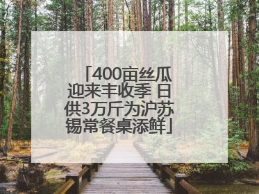 400亩丝瓜迎来丰收季 日供3万斤为沪苏锡常餐桌添鲜