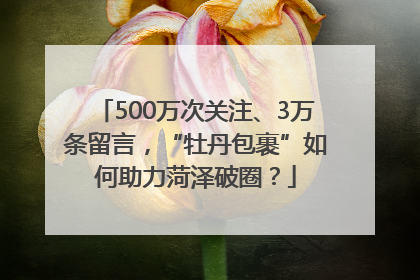 500万次关注、3万条留言，“牡丹包裹”如何助力菏泽破圈？