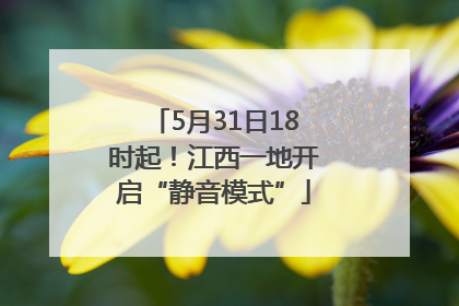 5月31日18时起！江西一地开启“静音模式”