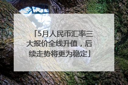 5月人民币汇率三大报价全线升值，后续走势将更为稳定