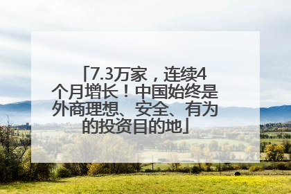 7.3万家，连续4个月增长！中国始终是外商理想、安全、有为的投资目的地
