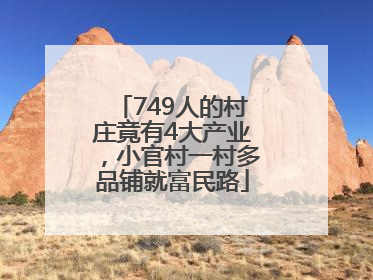 749人的村庄竟有4大产业，小官村一村多品铺就富民路