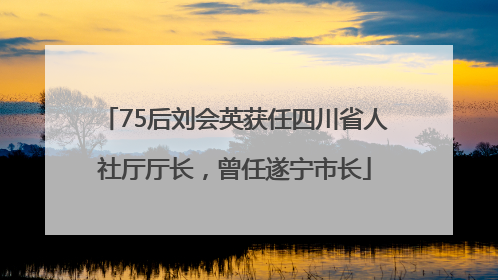 75后刘会英获任四川省人社厅厅长，曾任遂宁市长