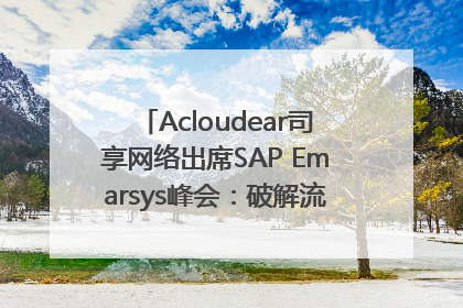 Acloudear司享网络出席SAP Emarsys峰会：破解流量困局，驱动精准增长